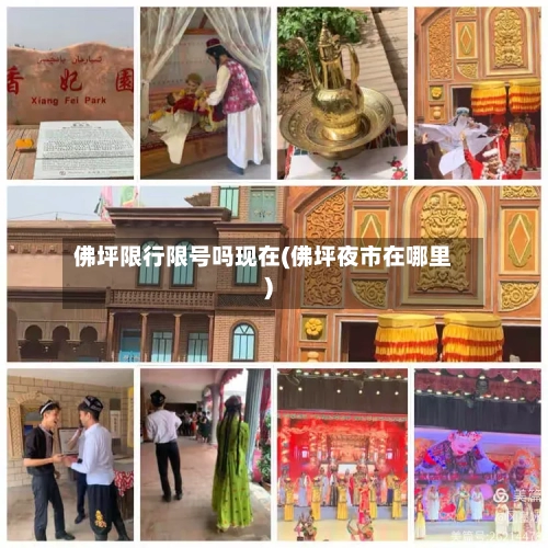 佛坪限行限号吗现在(佛坪夜市在哪里)-第3张图片