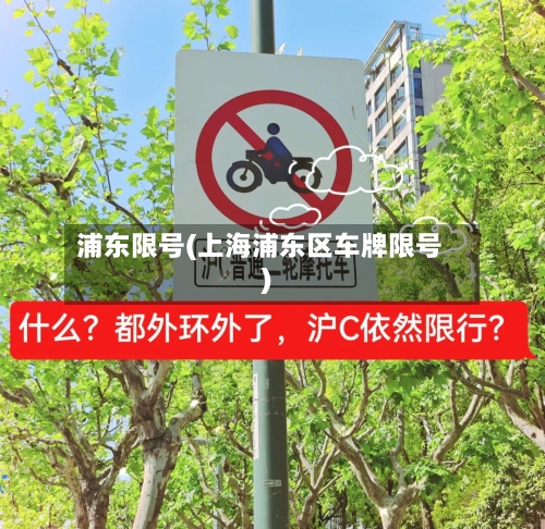 浦东限号(上海浦东区车牌限号)-第2张图片
