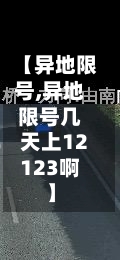 【异地限号,异地限号几天上12123啊】-第2张图片