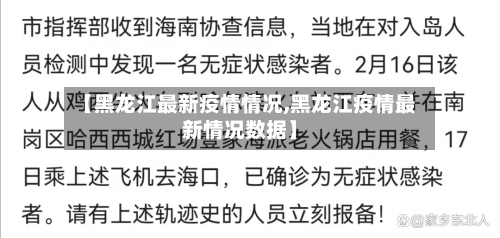 【黑龙江最新疫情情况,黑龙江疫情最新情况数据】-第2张图片
