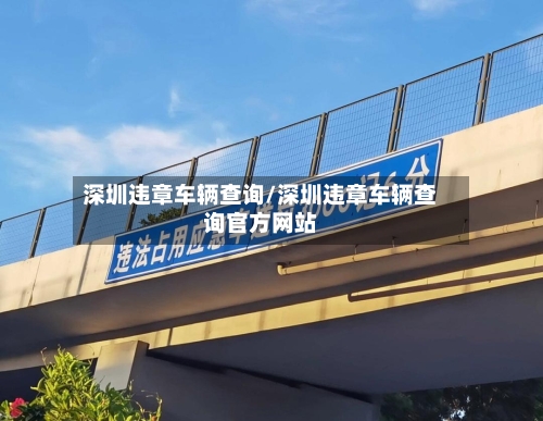 深圳违章车辆查询/深圳违章车辆查询官方网站