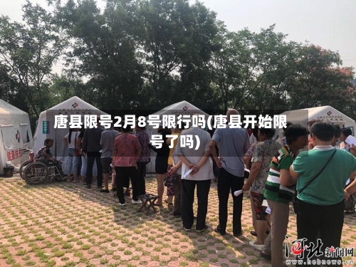 唐县限号2月8号限行吗(唐县开始限号了吗)