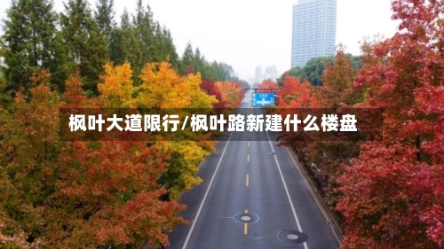 枫叶大道限行/枫叶路新建什么楼盘