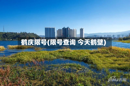 鹤庆限号(限号查询 今天鹤壁)