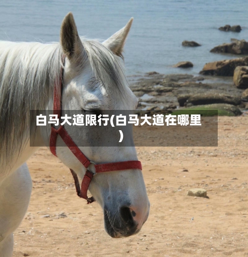 白马大道限行(白马大道在哪里)