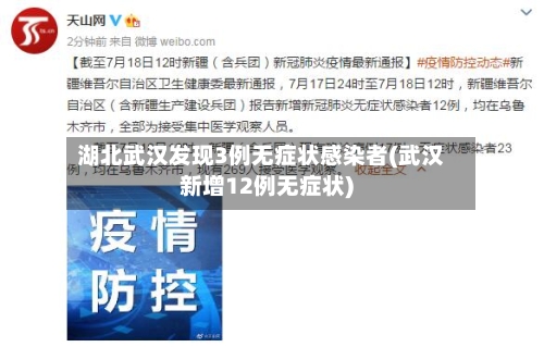 湖北武汉发现3例无症状感染者(武汉新增12例无症状)-第3张图片