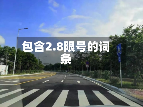 包含2.8限号的词条