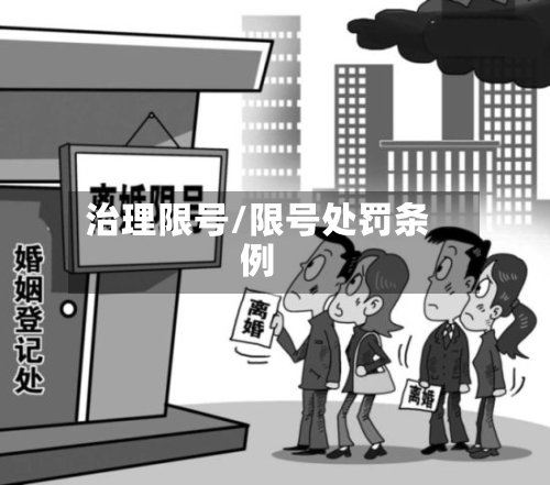 治理限号/限号处罚条例-第2张图片
