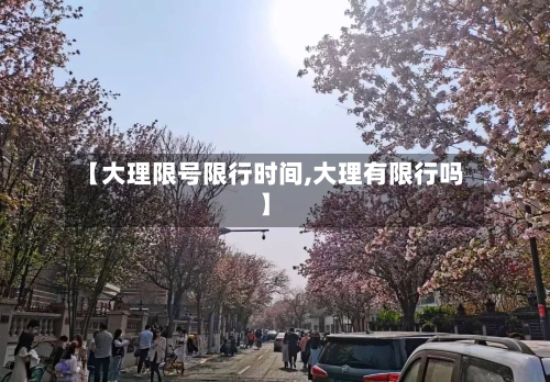 【大理限号限行时间,大理有限行吗】-第2张图片