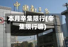 本月辛集限行(辛集限行嘛)