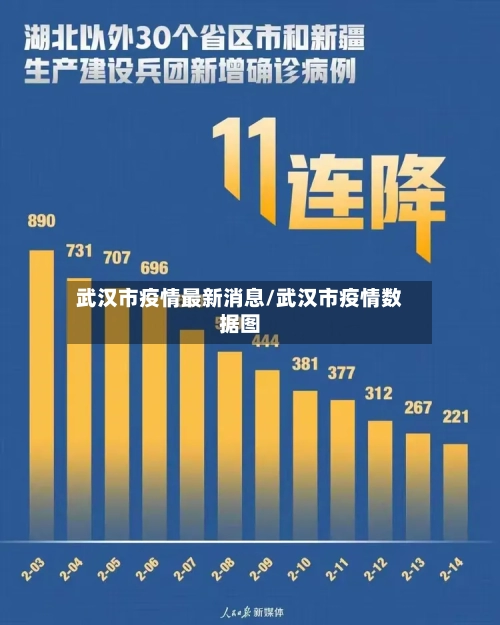 武汉市疫情最新消息/武汉市疫情数据图