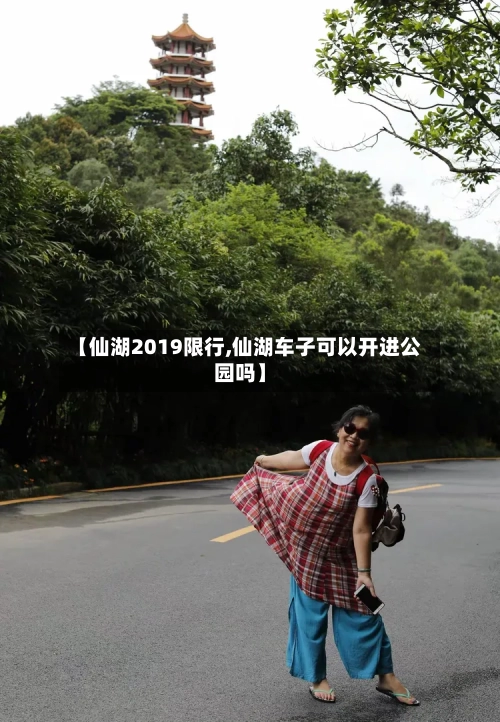 【仙湖2019限行,仙湖车子可以开进公园吗】
