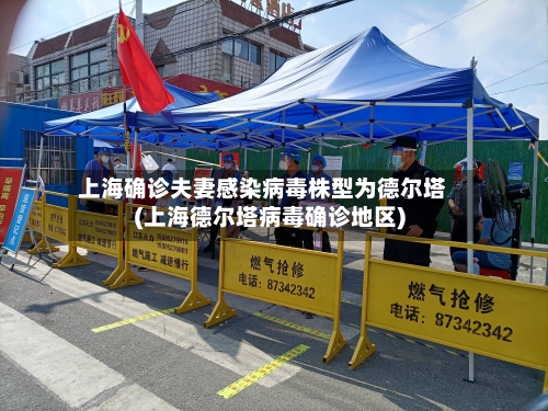 上海确诊夫妻感染病毒株型为德尔塔(上海德尔塔病毒确诊地区)