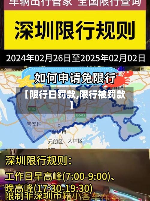 【限行日罚款,限行被罚款】-第2张图片