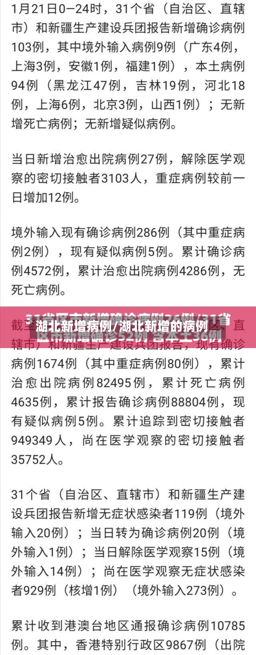 湖北新增病例/湖北新增的病例