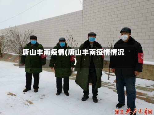 唐山丰南疫情(唐山丰南疫情情况)-第2张图片