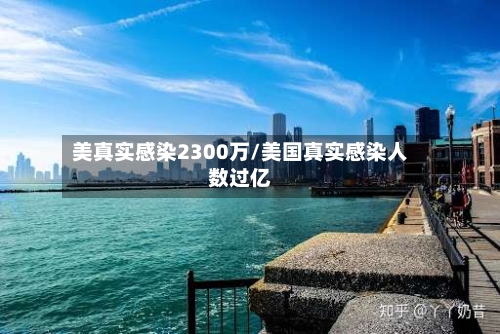美真实感染2300万/美国真实感染人数过亿-第2张图片
