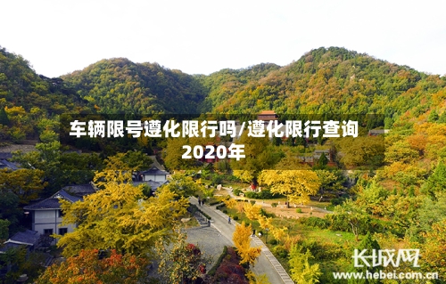 车辆限号遵化限行吗/遵化限行查询2020年-第3张图片
