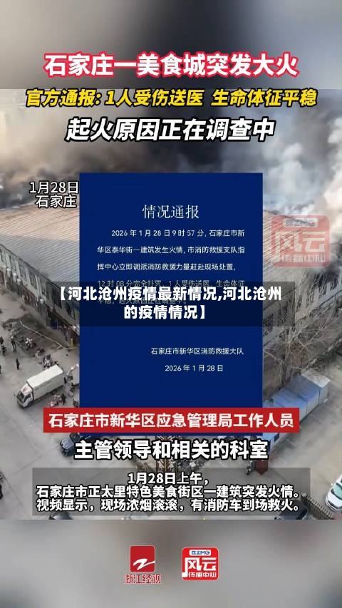 【河北沧州疫情最新情况,河北沧州的疫情情况】-第2张图片