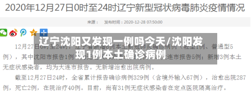辽宁沈阳又发现一例吗今天/沈阳发现1例本土确诊病例-第3张图片
