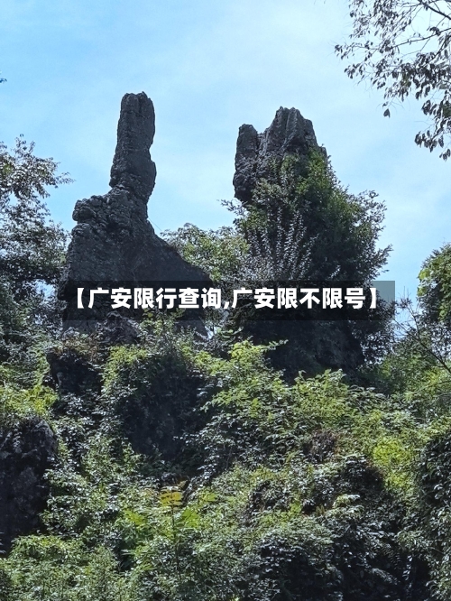 【广安限行查询,广安限不限号】