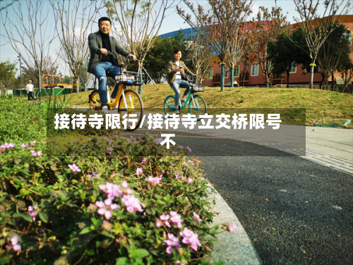 接待寺限行/接待寺立交桥限号不