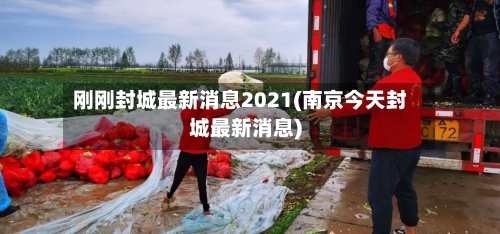 刚刚封城最新消息2021(南京今天封城最新消息)-第3张图片
