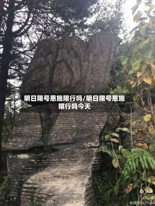 明日限号恩施限行吗/明日限号恩施限行吗今天-第2张图片