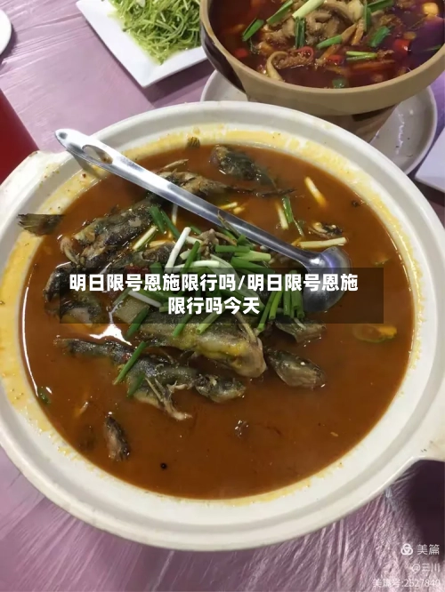 明日限号恩施限行吗/明日限号恩施限行吗今天-第3张图片
