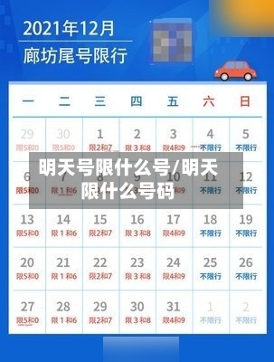 明天号限什么号/明天限什么号码-第2张图片