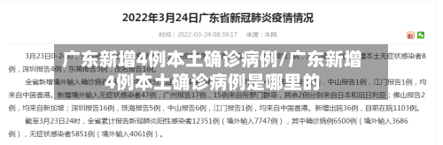 广东新增4例本土确诊病例/广东新增4例本土确诊病例是哪里的-第2张图片