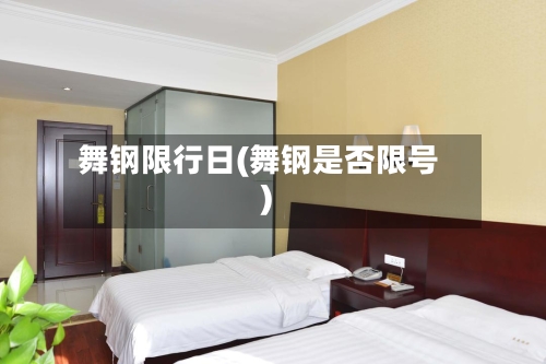 舞钢限行日(舞钢是否限号)-第2张图片