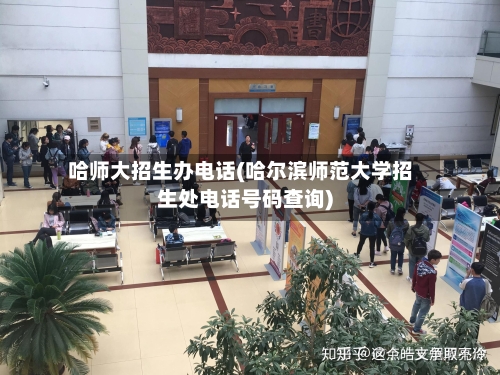 哈师大招生办电话(哈尔滨师范大学招生处电话号码查询)-第3张图片