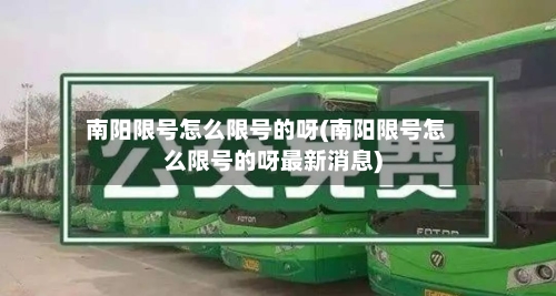 南阳限号怎么限号的呀(南阳限号怎么限号的呀最新消息)