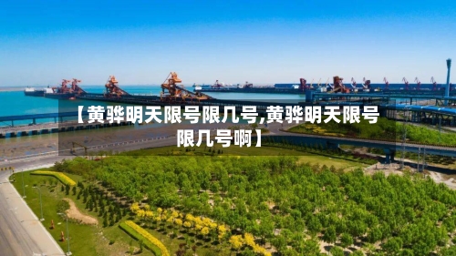 【黄骅明天限号限几号,黄骅明天限号限几号啊】-第2张图片
