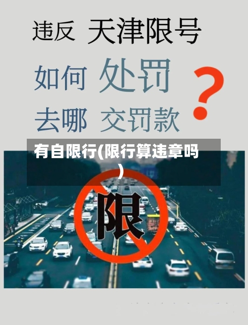 有自限行(限行算违章吗)-第2张图片