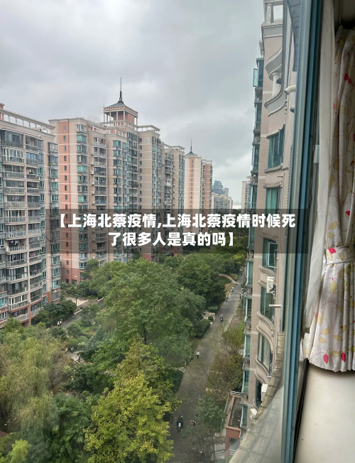 【上海北蔡疫情,上海北蔡疫情时候死了很多人是真的吗】-第2张图片