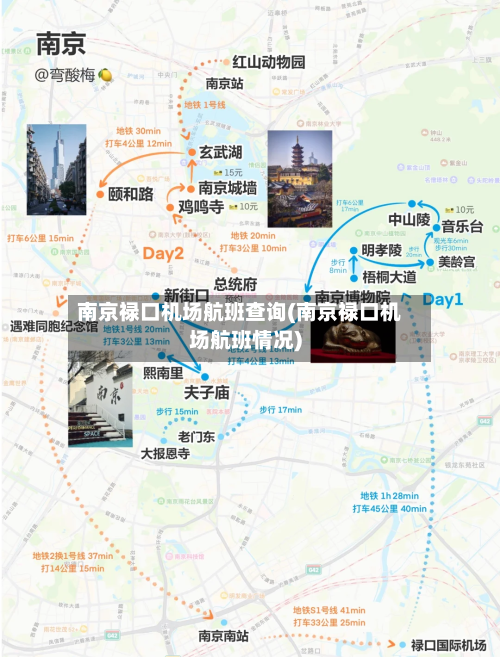 南京禄口机场航班查询(南京禄口机场航班情况)