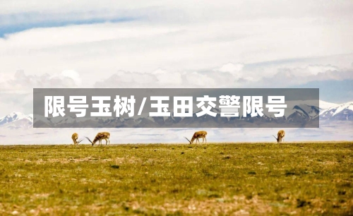 限号玉树/玉田交警限号