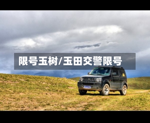 限号玉树/玉田交警限号-第2张图片