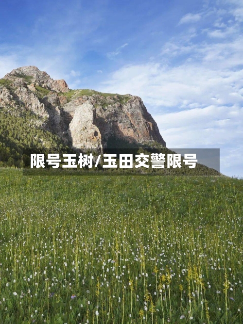 限号玉树/玉田交警限号-第3张图片