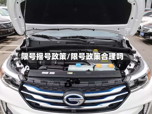 限号摇号政策/限号政策合理吗