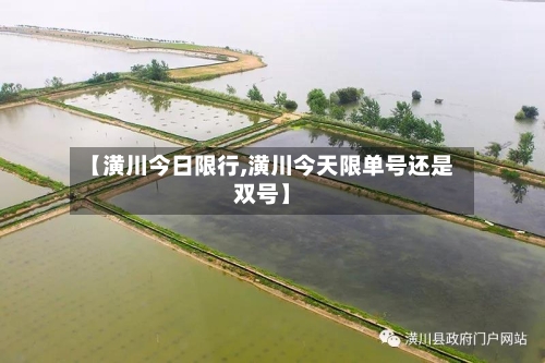 【潢川今日限行,潢川今天限单号还是双号】-第2张图片