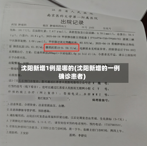 沈阳新增1例是哪的(沈阳新增的一例确诊患者)-第3张图片