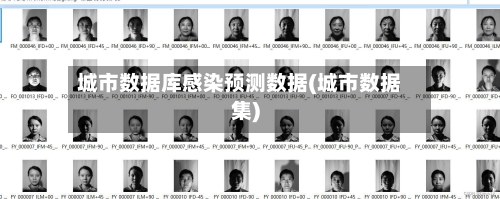 城市数据库感染预测数据(城市数据集)