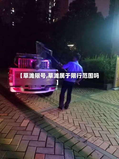 【草滩限号,草滩属于限行范围吗】-第3张图片