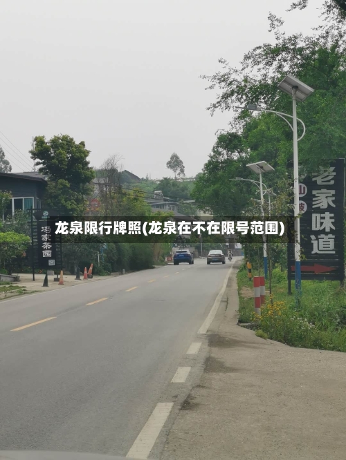 龙泉限行牌照(龙泉在不在限号范围)-第2张图片
