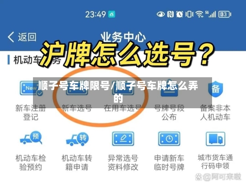 顺子号车牌限号/顺子号车牌怎么弄的-第2张图片