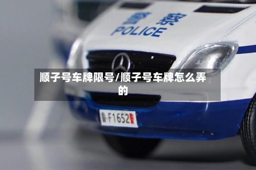 顺子号车牌限号/顺子号车牌怎么弄的