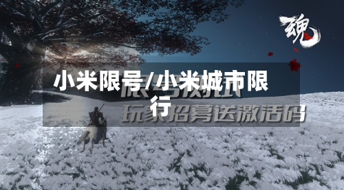 小米限号/小米城市限行-第2张图片